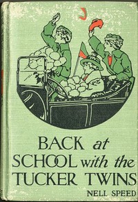 Cover of Back at School with the Tucker Twins — Edition Insights
