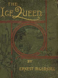 Cover of The Ice Queen — Story, Setting &...