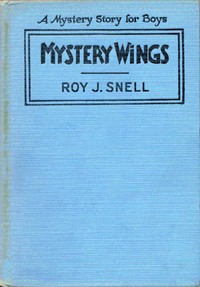 Cover of Mystery Wings A Mystery Story fo...